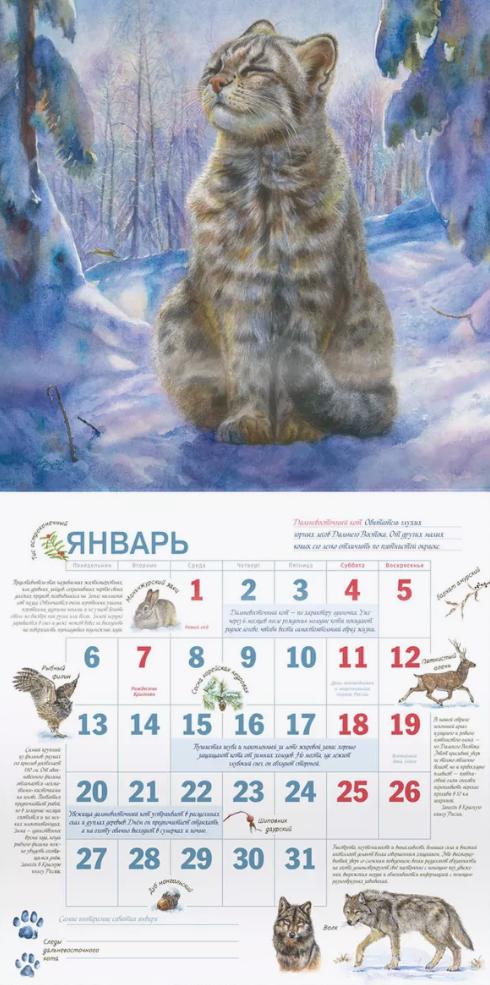 Календарь родной природы. Календарь на скрепке на 2025 год - Книжный ...
